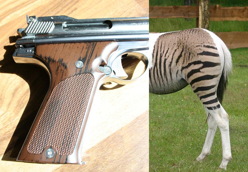 automagzebragriffe automagzebragriffe
